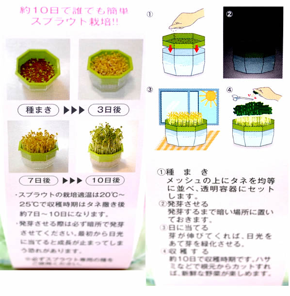 キッチンファーム