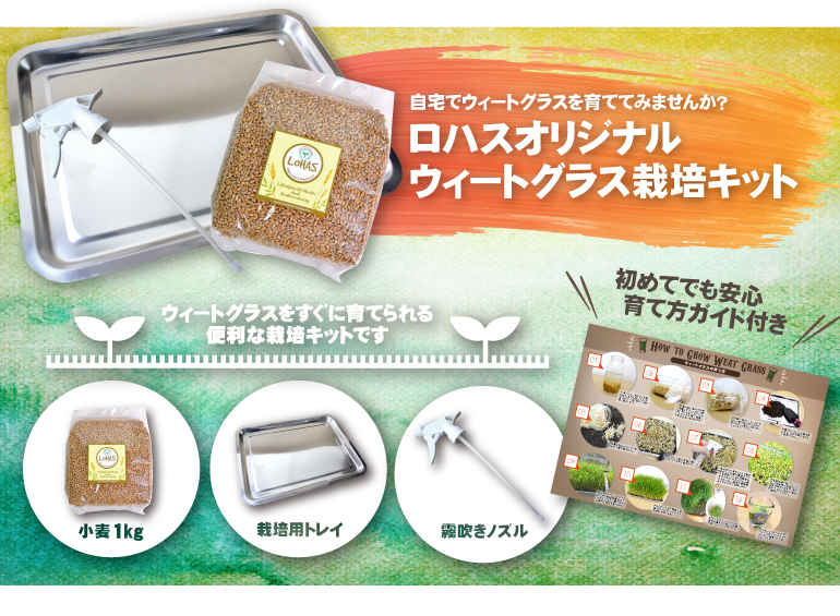 ウィートグラス栽培キット