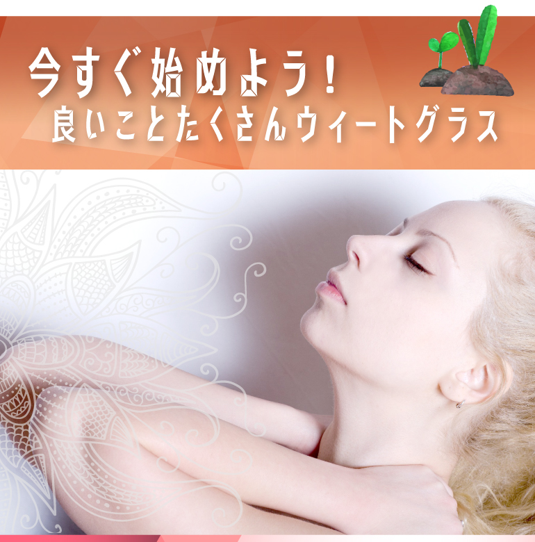 ウィートグラス栽培キット