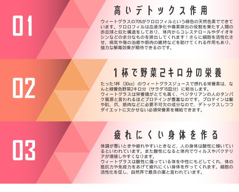 ウィートグラス栽培キット