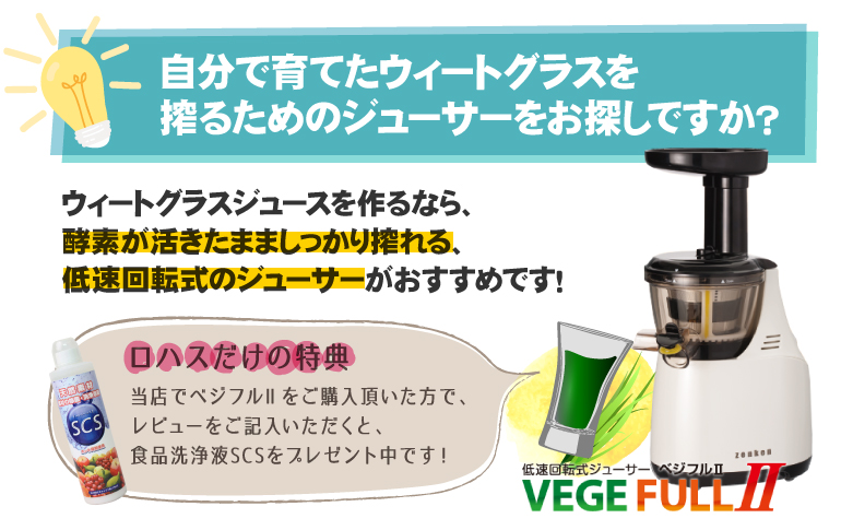 ウィートグラス栽培キット