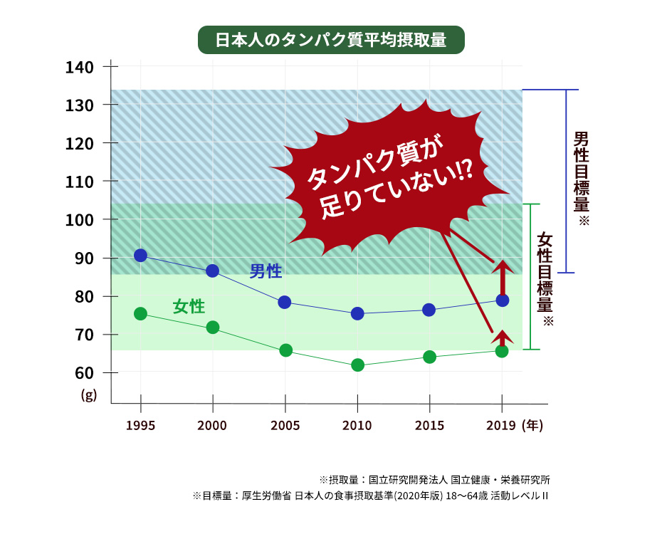 日本人のたんぱく質平均摂取量